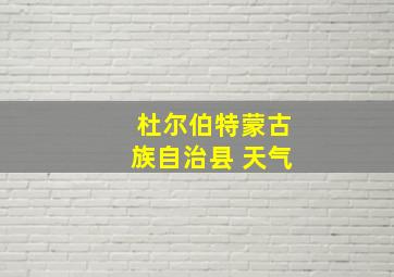 杜尔伯特蒙古族自治县 天气